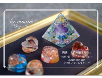 出没時間帯が決まりました