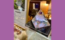 京都駅西口改札前イベント、終了しました