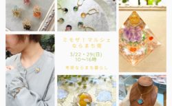 3/22は ミモザ！マルシェ ならまち南